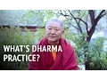 Download Lagu What is Dharma Practice? | Ringu Tulku