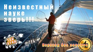 Пересекаем Бискай! Переход Ля Рошель – Бильбао