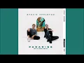 Sam feldt  feat stevie appleton with paradise