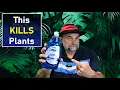 Dish Soap Harms Plants - There are Better Options
