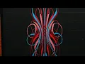 Southwest Scroll Pinstriping Timelapse