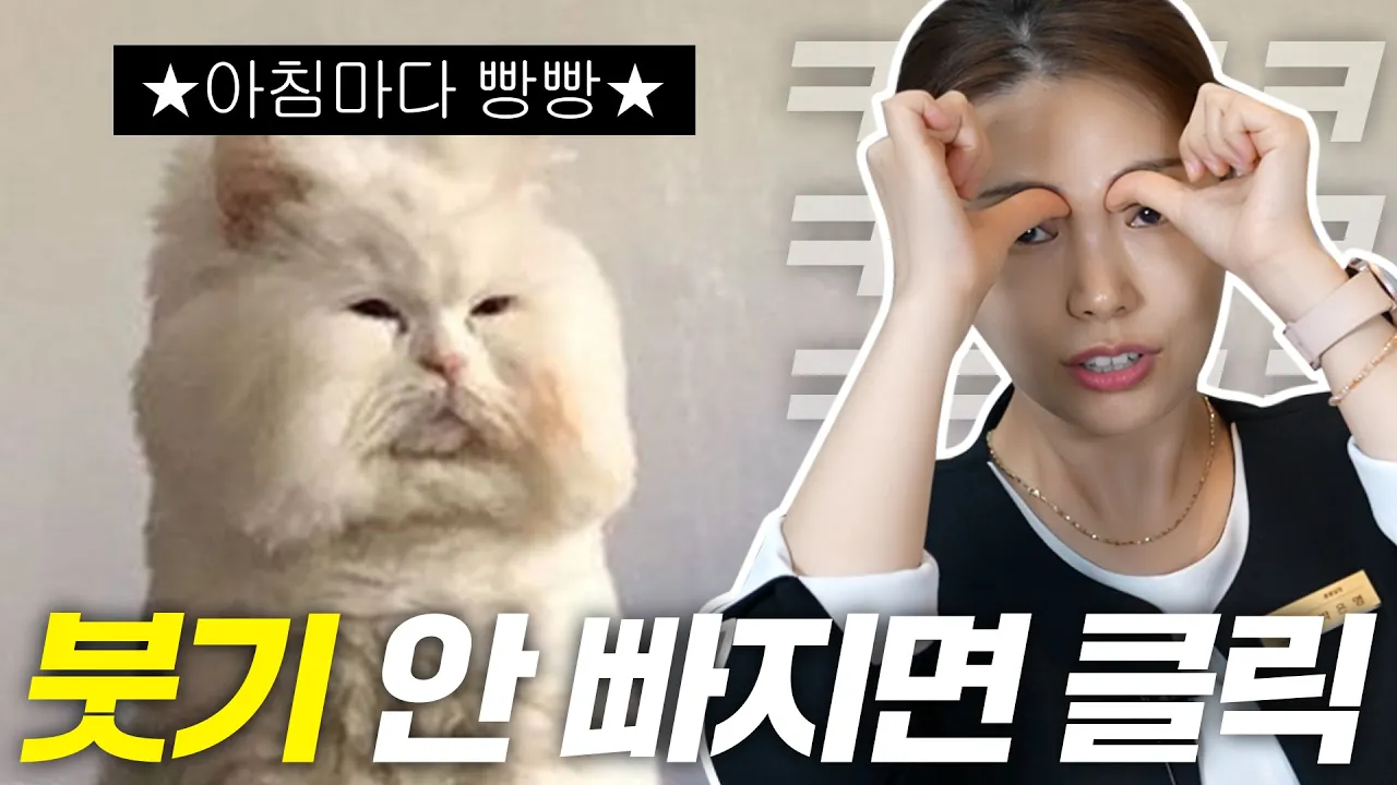 오후 3시까지 부어있는 분들을 위해 준비한 영상입니다