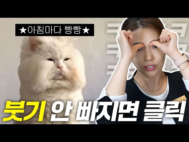 오후 3시까지 부어있는 분들을 위해 준비한 영상입니다