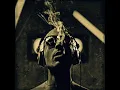 Bibio - Lovers Carvings (catz n dogz re-edit)