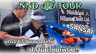 Download 360° | VR | NND Koi Farm เปิดบ้านซันเก้ไซส์เมตร - 360 EZ Koi Tour EP.4 MP3