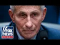 BREAKING New Fauci documents revealed