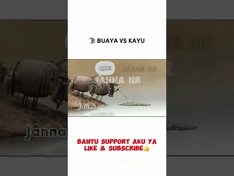 DIKIRA MENYEBRANGI KAYU TERNYATA #youtubeshorts #trending #film #viralshorts #alurcerita #alur
