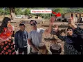 Download Lagu Migration of grandmother's family to Dora and Akram's happiness