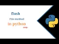 RK File flush method in python