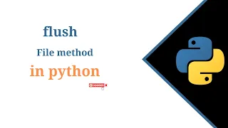 RK File flush method in python