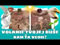 Download Lagu VOLANIE TVOJEJ DUŠE 💓🕊👼 KAM ŤA VEDIE? 🪶✈️