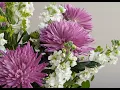 Download Lagu THE MOST BEAUTIFUL RELAXING MUSIC BY SERGEY GRISCHUK!