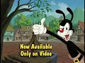 Animaniacs Wakko s Wish Histeria VHS and DVD Capture