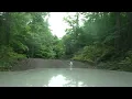 Пісня Світла - Mad Heads XL - Lorimer Lake Rd. , ON. Canada