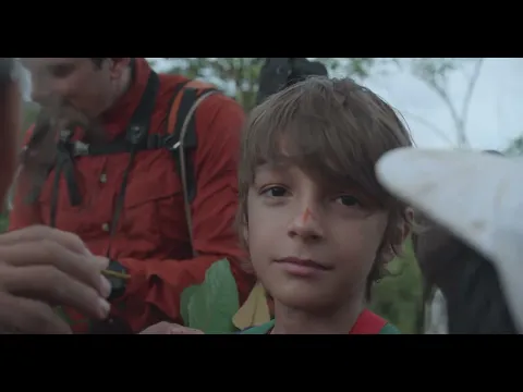 Los cuentos del bosque - Tráiler