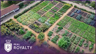 Inside Hampton Court Palace: The Secret History Of The Royal Kitchen Gardens