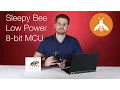 EFM8 Sleepy Bee - from Silicon Labs