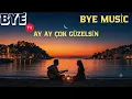 AY AY ÇOK GÜZELSİN - BYE MUSİC | #cover #music #love #tiktok #viral #viralvideo #ai #aimusicvideo