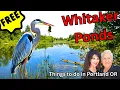 FREE Things To Do In Portland Oregon Whitaker Ponds Has Wild Surprises