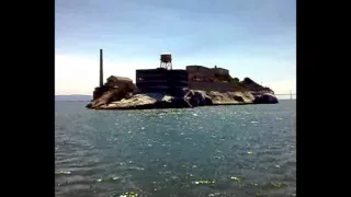 sun caged catalina unreleased song the lotus effect 