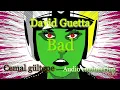 David guetta & Showtek - Bad ft. Vassy - caustic 3 - short remake