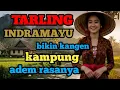Download Lagu TARLING INDRAMAYU CIREBONAN_ADEM BIKIN KANGEN KAMPUNG TEMPO DULU
