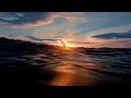 Download Lagu Whale Returns | Flow (2024) Post Credit Scene