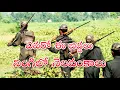 Download Lagu ఎవరో ఈ బిడ్డలు నింగీలో నెలవంకలు I YEVARO EE BIDDALU SONGI JAYARAJU SONGS