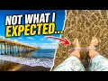 Malibu Beach Looks Perfect Until You Touch the Water
