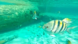 THE 15 MOST AMAZING VIEWS OF THE BAHAMAS