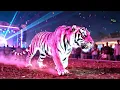 80,000 Watt Sound Check🎧New Dj Song🎧Dj Sound Check🎧Bass Check🎧Dj Song🎧JBL Bass Boosted🎧Speaker Dj