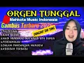 Lagu Orgen tunggal kosidah FULL BASS ][ PALESTINA [] KAIN KAFAN