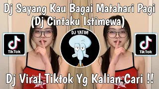 dj sayang kau bagai matahari pagi dj cintaku istimewa remix mengkane viral tiktok