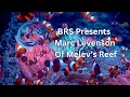 Boston Reefers Society Presents Marc Levenson of melevsreef At Fragsgiving 2024