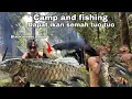 Download Lagu Petualangan camping rimba hujan | survival masak \u0026 masang tajur semah