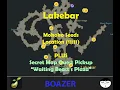 Lost Ark Lakebar Mokoko Seed Location Secret Map quest