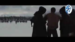 اقوى معركة بين الذئاب و مصاصى الدماء The Milight على مهرجان عالمى 