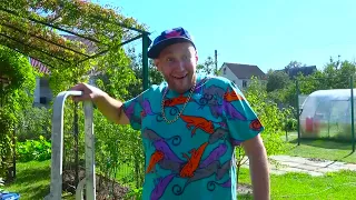 БОТАНОВ ПОПАЛ!!!! ЧТО ДЕЛАТЬ????