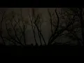 March 14th 2025 St Peter s MO Tornado warning
