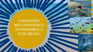 Miniatura do vídeo Filme em computação gráfica Canta Galo, produzido pela Cacoete Produções para Canta Galo Apart Hotel