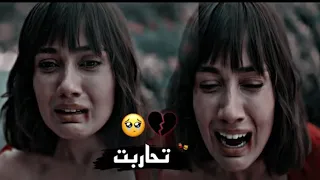 اتحاربت    نوال الزغبي  ايزو   هارون                   مسلسل الكنه        دندنها