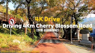 [4K Drive]  EP.10 아름다운 하동 십리벚꽃길 드라이브 with Playlist  I 온더로드 코리아(On The Road Korea) 썸네일
