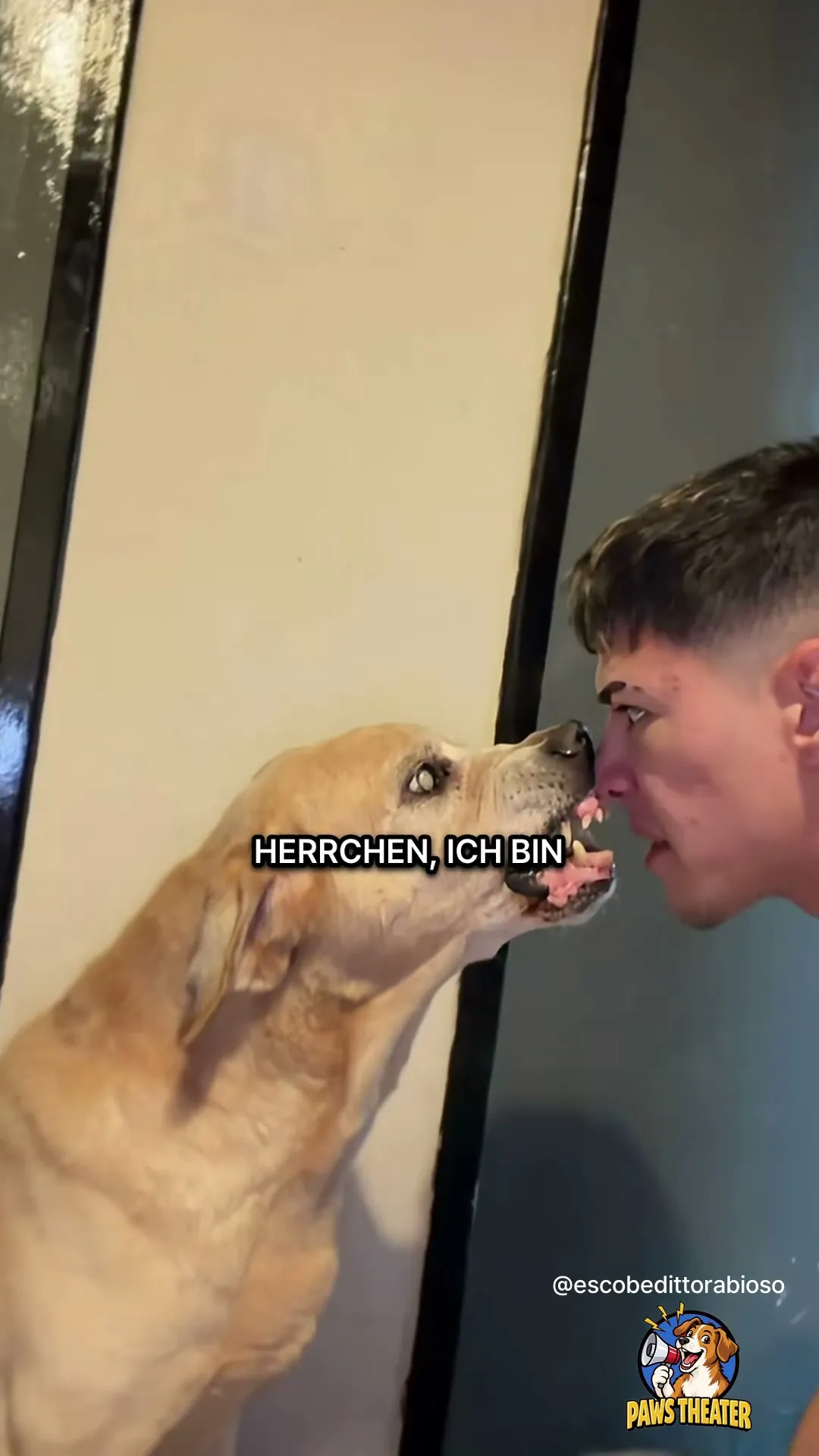 Er Schreit, Ich Lächle 🐶😬