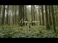 Download Lagu Ziggy Alberts - New Love (Official Music Video)