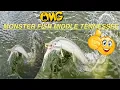 Summer fishing in middle Tennessee