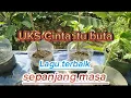 Download Lagu U.k.S-\