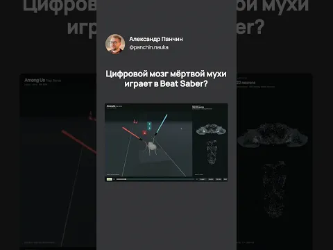 Благодаря науке мозг мертвой мухи играет в VR. Читайте описание!