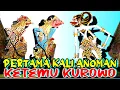 Download Lagu LAKON PERTAMA KALI ANOMAN KETEMU KUROWO KI SENO NUGROHO
