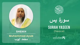 Quran 36 Surah Yaseen سورة يس Sheikh Mohammad Ayub With English Translation 