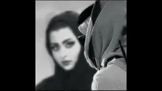 اوصيك شورك باطوع به النسه شعر قصيده سامي ابو علي 